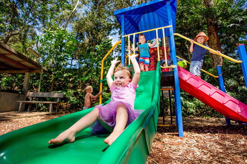 Reflections Boambee Creek Reserve - Australia Accommodation 1