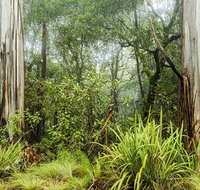 River walking track - Australia Accommodation
