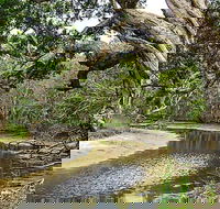 Saltwater National Park - Australia Accommodation