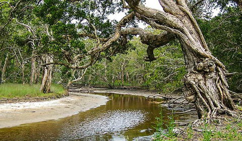 Saltwater National Park - Australia Accommodation 0