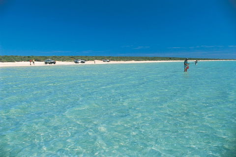 Shark Bay World Heritage Drive - Australia Accommodation 1