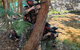 Skirmish Gold Coast - thumb 2