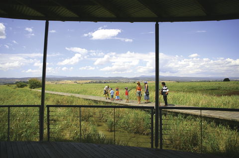Tamar Island Wetlands Centre And Reserve - Australia Accommodation 0