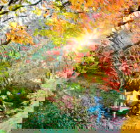 The Blue Mountains Botanic Garden Mount Tomah - Australia Accommodation