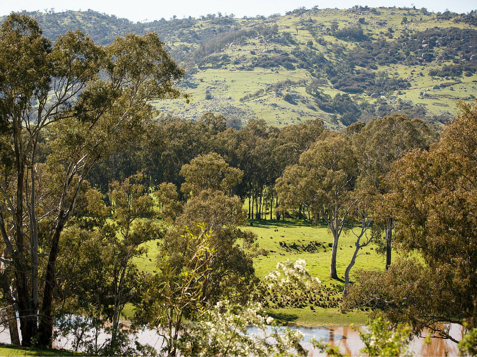 Trawool VIC Australia Accommodation