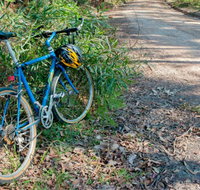 Walter Hood ride from Cudmirrah - Australia Accommodation