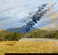 Weddin Mountains National Park - Australia Accommodation