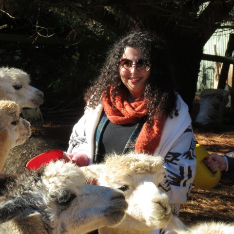 Alpaca Farm Experience At Crookwell - Australia Accommodation 1