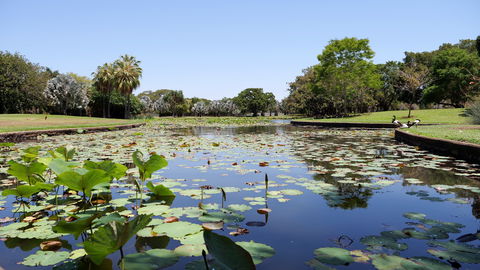 Anderson Park Botanic Gardens - Australia Accommodation 0