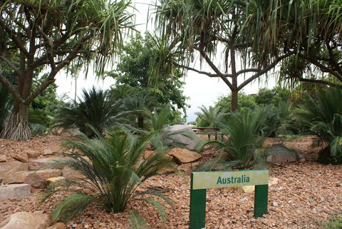Anderson Park Botanic Gardens - Australia Accommodation 2