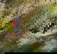 Australian Arid Lands Botanic Garden - Australia Accommodation