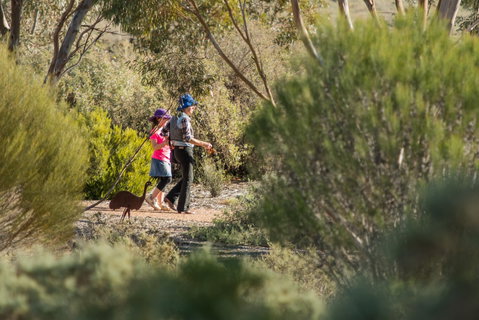 Australian Arid Lands Botanic Garden - Australia Accommodation 0