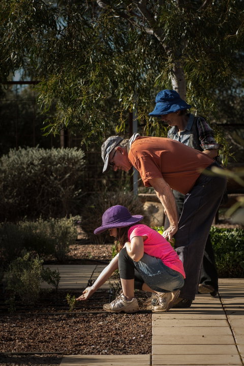 Australian Arid Lands Botanic Garden - Australia Accommodation 1