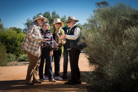Australian Arid Lands Botanic Garden - Australia Accommodation 2