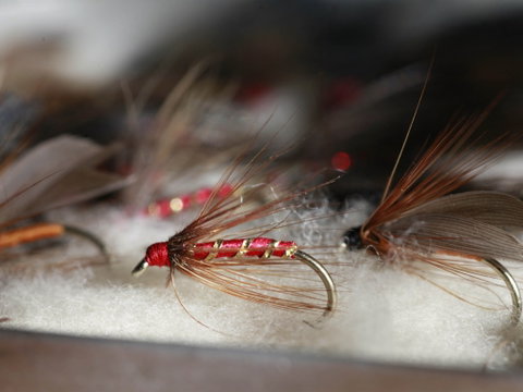 Australian Fly Fishing Museum - Australia Accommodation 0