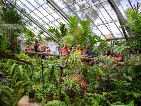 Australian Butterfly Sanctuary - Australia Accommodation 2