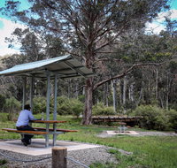 Barrington Tops State Forest - Australia Accommodation