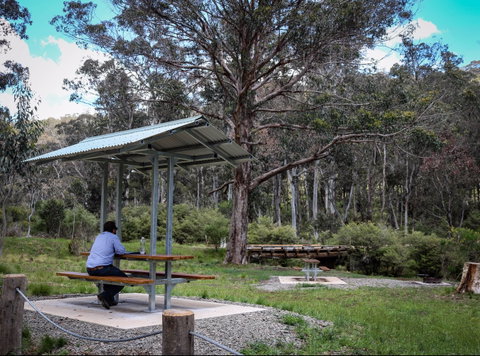 Barrington Tops State Forest - Australia Accommodation 0