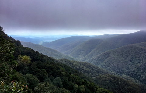 Barrington Tops State Forest - Australia Accommodation 2
