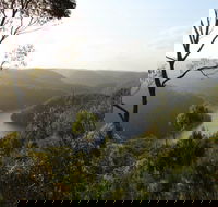 Berowra Valley National Park - Australia Accommodation