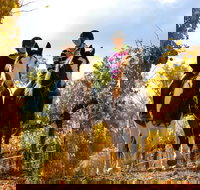 Billabong Ranch Adventure Park - Australia Accommodation