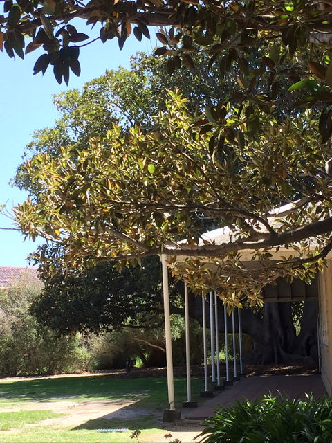 Black Rock House - Australia Accommodation 1