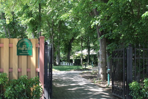 Bungendore Heritage Walk - Australia Accommodation 0