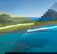 Cape Tribulation Daintree National Park - Australia Accommodation