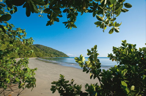 Cape Tribulation, Daintree National Park - Australia Accommodation 1
