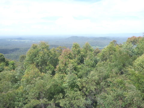 Collombatti Lookout - Australia Accommodation 0