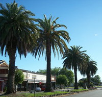 Culcairn - Australia Accommodation