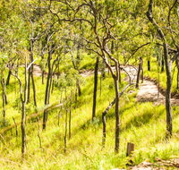Davies Creek Mountain Bike Park - Australia Accommodation