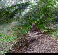 Double Wharf Trail - Australia Accommodation