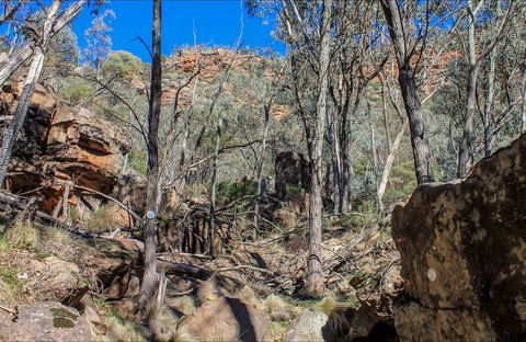 Eualdrie Walking Track - Australia Accommodation 0