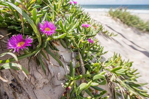 Fort Bribie - Australia Accommodation 0