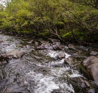 Gloucester River walking track - Australia Accommodation