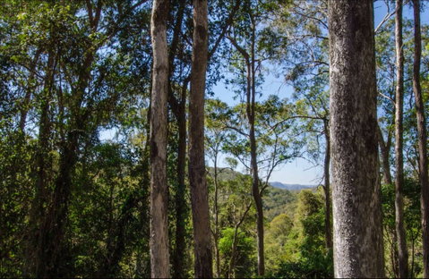 Hidden Treasure Picnic Area - Australia Accommodation 0
