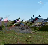 Jim Salmon  Wetland Education Site - Australia Accommodation