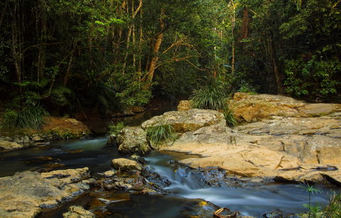Jumrum Creek Walk, Jumrum Creek Conservation Park - Australia Accommodation 0