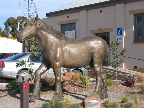 Maitland - Australia Accommodation 0