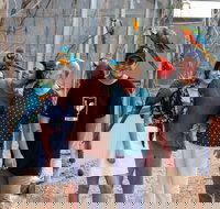 Maleny Botanic Gardens and Bird World - Australia Accommodation