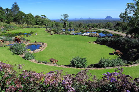Maleny Botanic Gardens And Bird World - Australia Accommodation 2