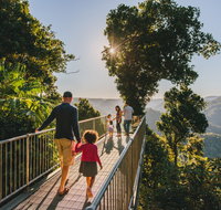 Mamu Tropical Skywalk - Australia Accommodation