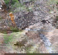 Mill-bullah Walking Track - Australia Accommodation