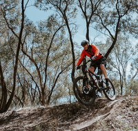 Mountain Bike Trails Deniliquin - Australia Accommodation
