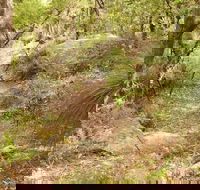 Mount Carnarvon Walking Track - Australia Accommodation
