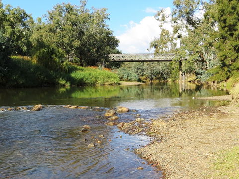 Namoi River And Woolshed Reserve - Australia Accommodation 0