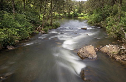 Nymboi-Binderay National Park - Australia Accommodation 0