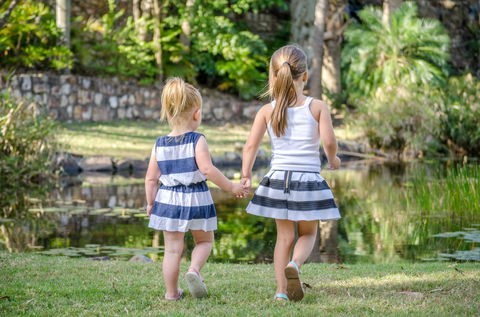 Queens Park Waterfall - Australia Accommodation 1
