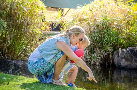 Queens Park Waterfall - Australia Accommodation 2